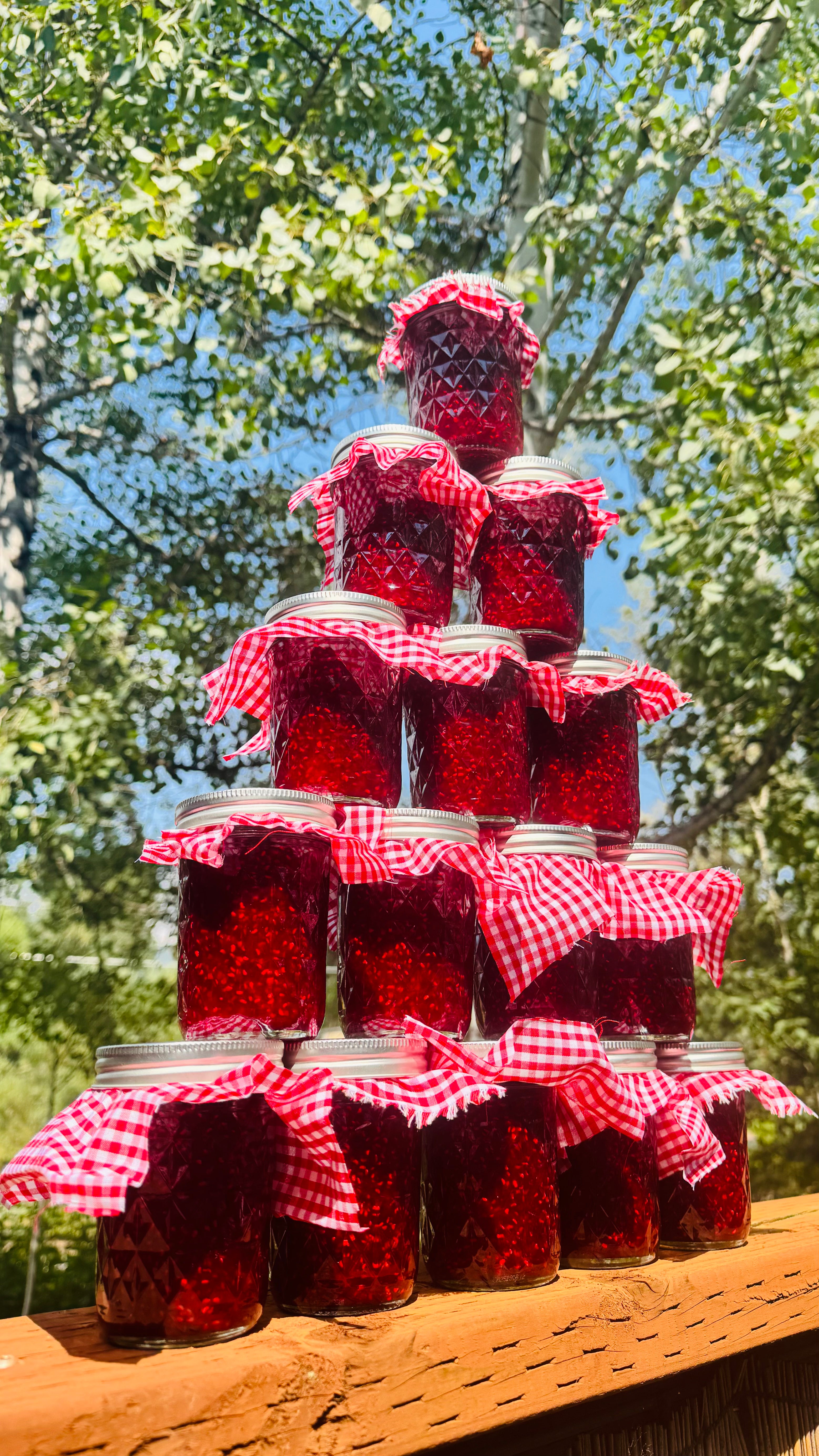 Raspberry Jam
